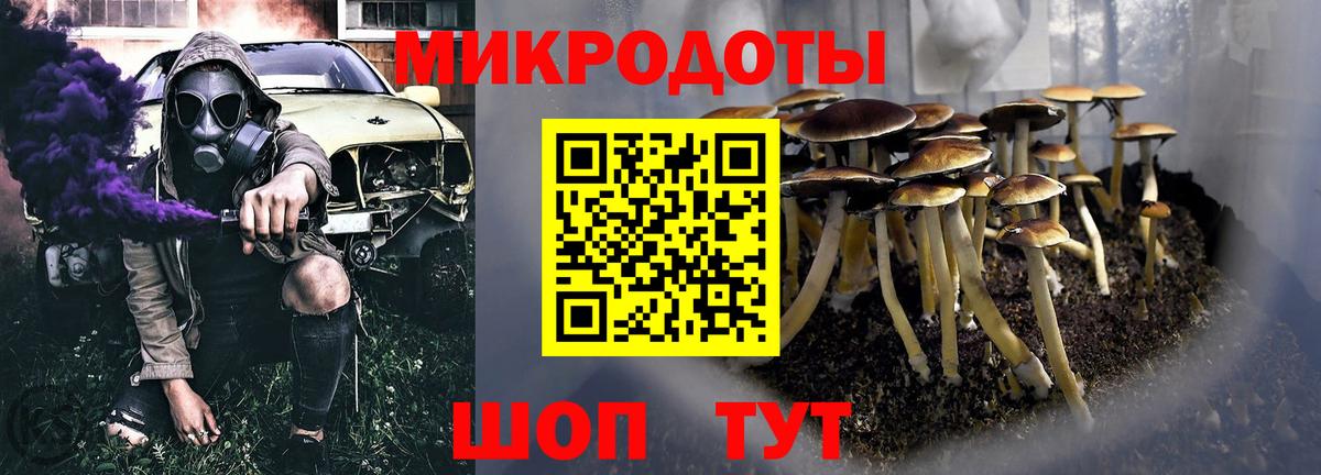 Галлюциногенные грибы Magic Shrooms  где найти   Татарск  Вход с VPN 