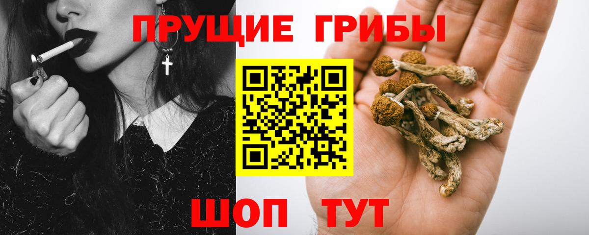 Галлюциногенные грибы MAGIC MUSHROOMS Татарск